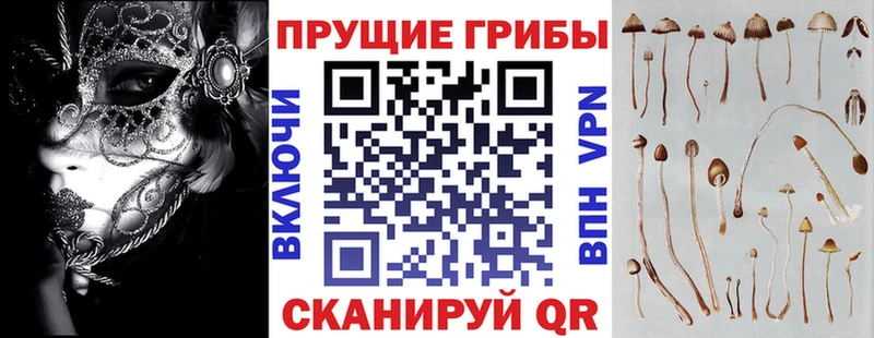 наркошоп  Владимир  Псилоцибиновые грибы Cubensis 