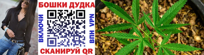 Бошки марихуана ГИДРОПОН  Владимир 